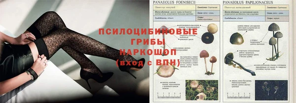 MDMA Premium VHQ Каменка