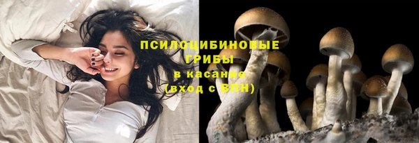 MDMA Premium VHQ Каменка