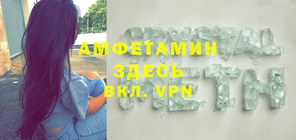 прущие грибы Каменногорск