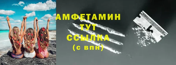 прущие грибы Каменногорск