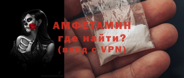 прущие грибы Каменногорск