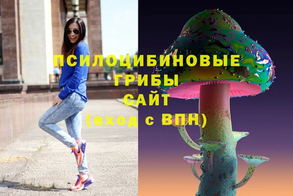 прущие грибы Каменногорск
