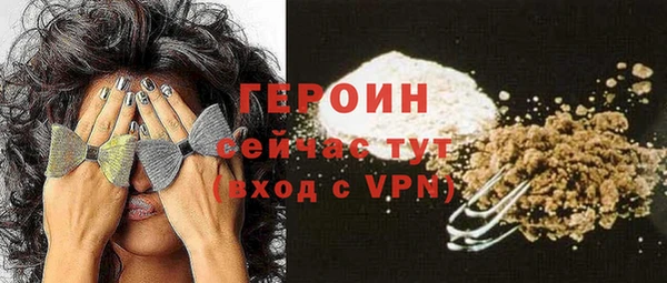 прущие грибы Каменногорск