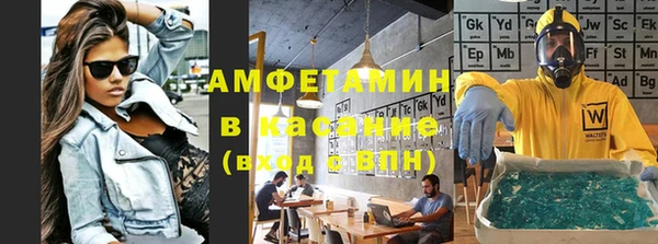 прущие грибы Каменногорск