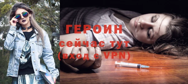 прущие грибы Каменногорск