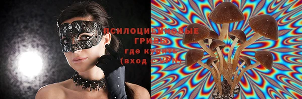 MDMA Premium VHQ Каменка